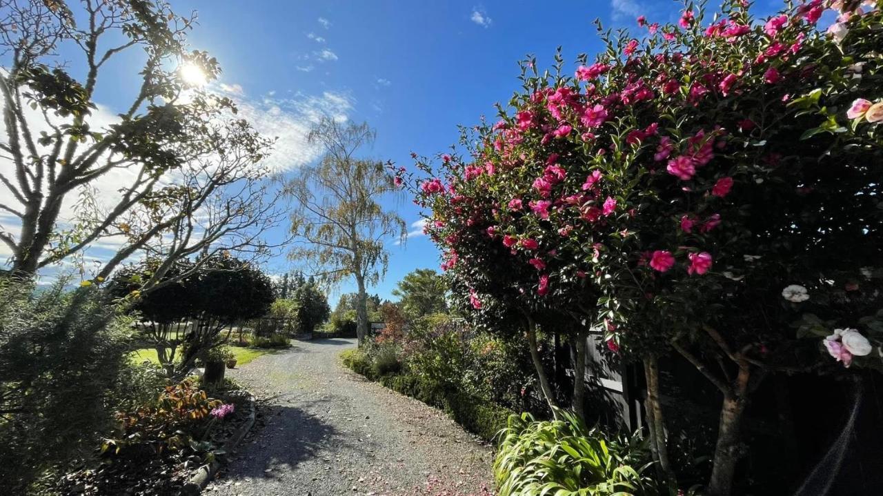 Green Tree Haven Bnb-Riwaka Tasman Bay Экстерьер фото
